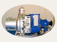 Ultra-low NOx gas turbine
